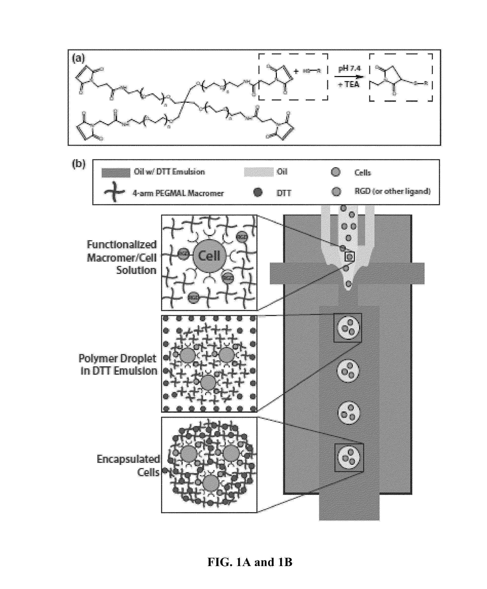 Microgels for Encapsulation of Cells and Other Biologic Agents