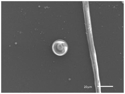 Application of PLGA in preparation of SSRI antidepressant drug microspheres