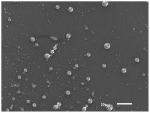 Application of PLGA in preparation of SSRI antidepressant drug microspheres