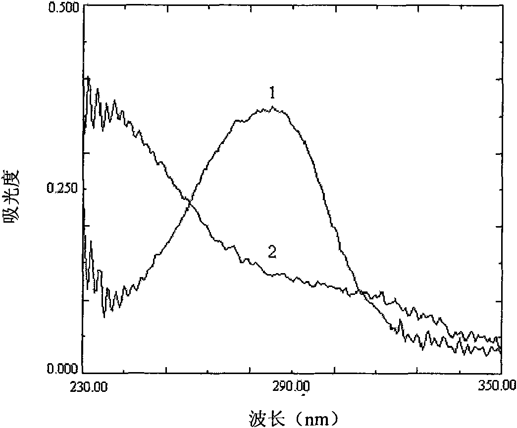 Para aminobenzoyl chitosan and preparing method thereof