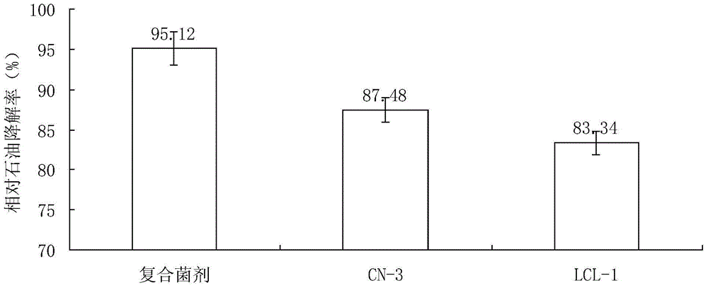 Composite inoculant for degrading petroleum, preparation method and applications thereof