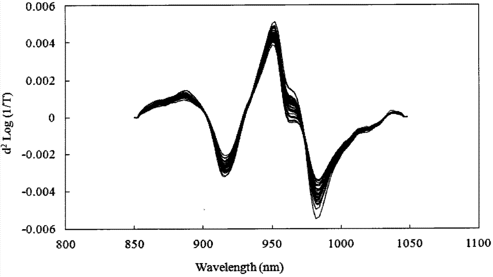 Method for rapidly detecting amylose content in rice by near infrared spectrum and visible light analyzer