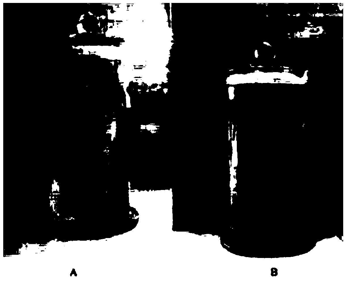 Method for preparing tropical plant preserving humid preparation