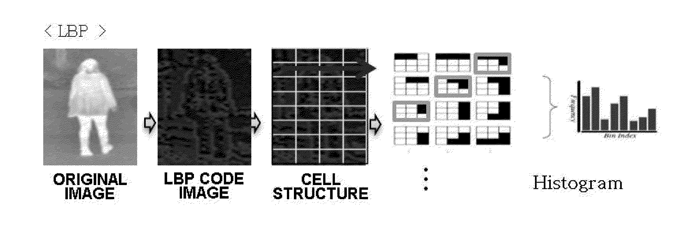 Method and device for recognizing pedestrian and vehicle supporting the same