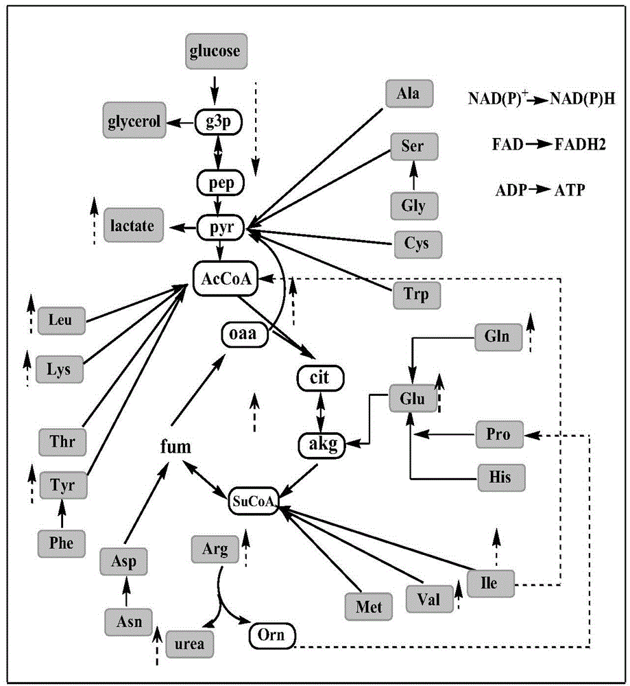 Evaluation method for cell metabolism toxicity of organic pollutants