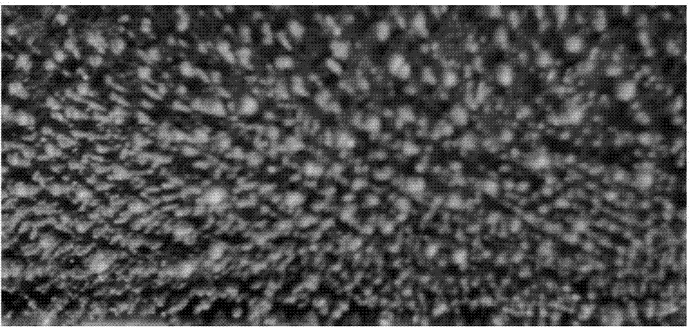 Recyclable micro etching chemical treatment agent on surface of copper/copper alloy