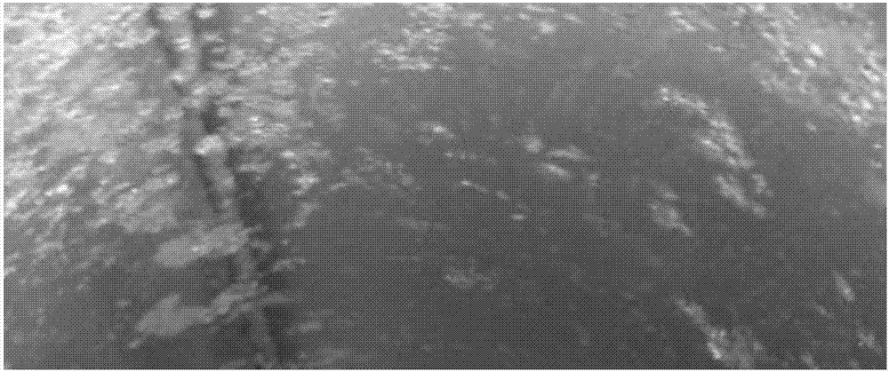 Recyclable micro etching chemical treatment agent on surface of copper/copper alloy