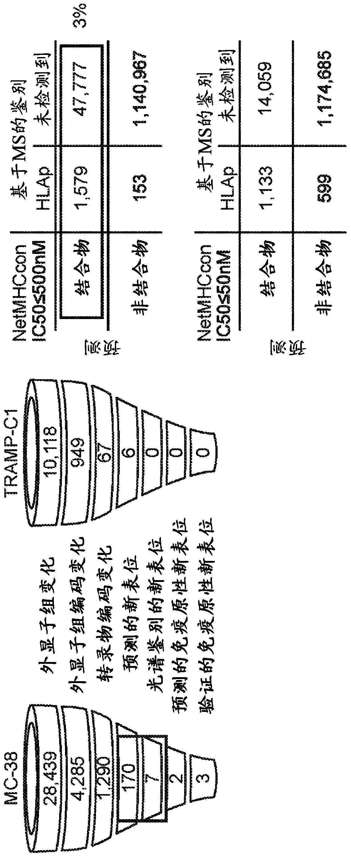 Neoantigen identification for t-cell therapy