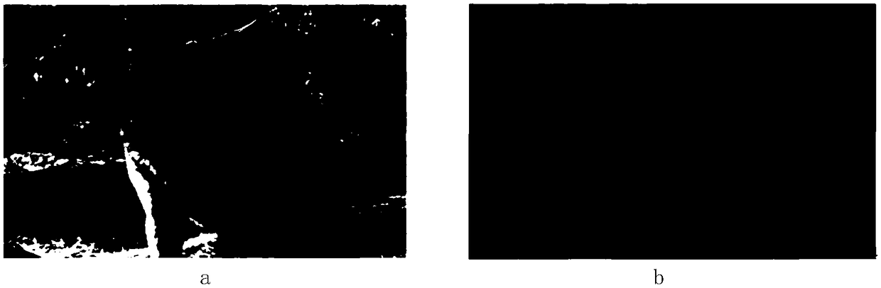 Method and device for obtaining image blurring level classification and electronic equipment