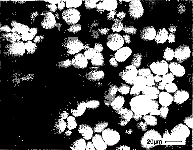 Spherical porous high-density LiFePO4 powder and process for preparing same