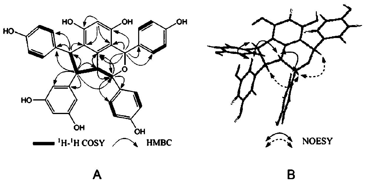 Cysestermerol A and application thereof in aspect of improving diabetes mellitus