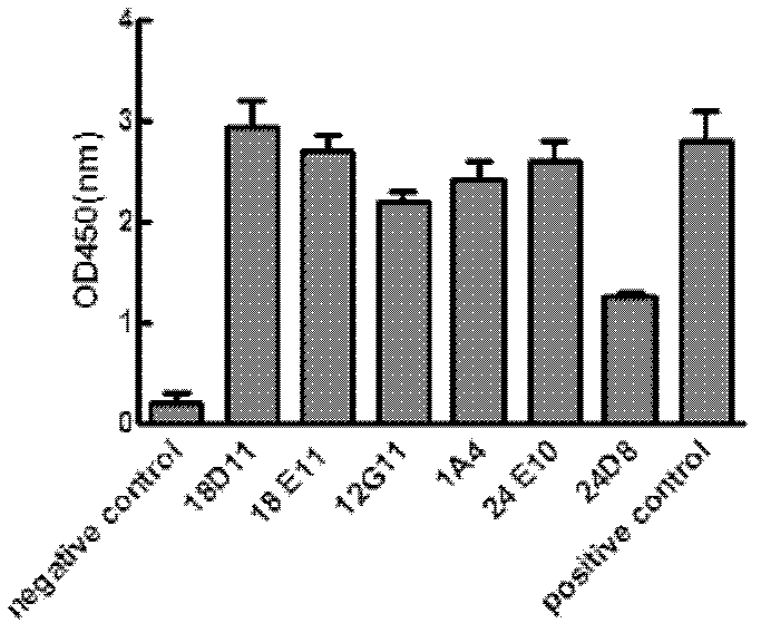 Vascular Endothelial Growth Factor (VEGF) acceptor 2/CD3 bispecific single-chain antibody