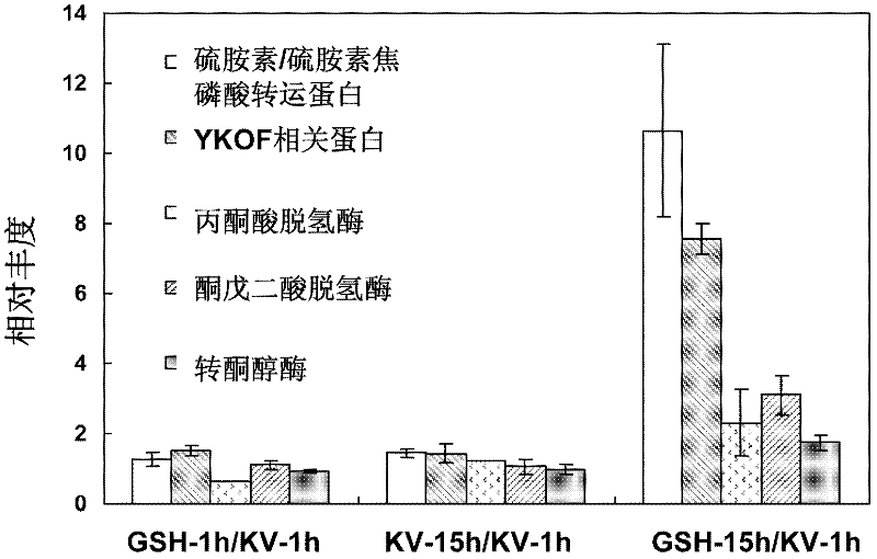 Method for detecting intracellular protein changes in process of acting on gluconobacter oxydans by glutathione