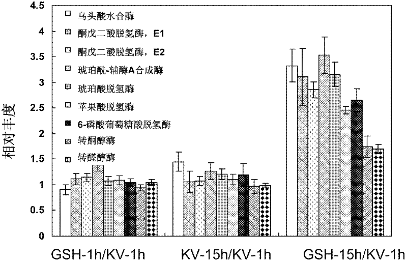 Method for detecting intracellular protein changes in process of acting on gluconobacter oxydans by glutathione