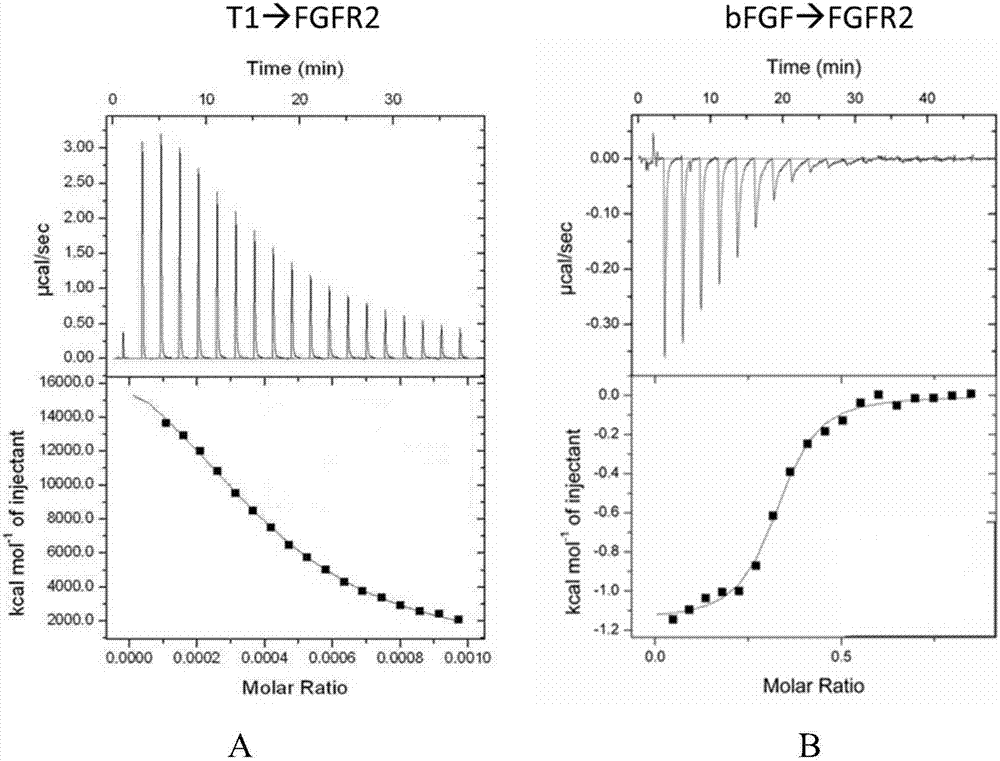 Small molecular polypeptide promoting skin damage repair and application thereof