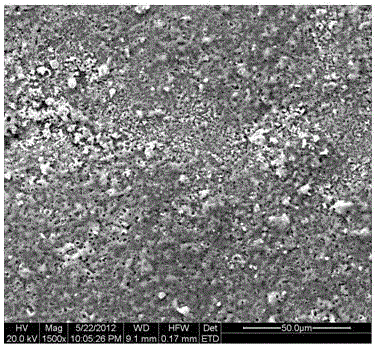 Preparation method of ceramic coating on surface of sintered NdFeB permanent magnet