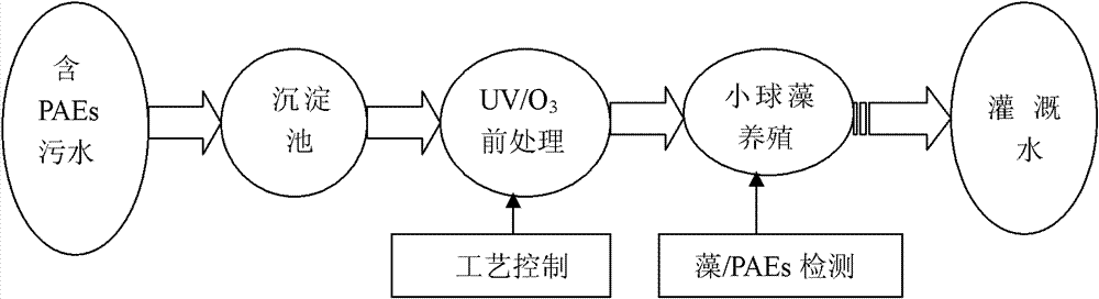 Method for removing phthalates out of water by utilizing UV (ultraviolet)/ozone/chlorella degradation composite process