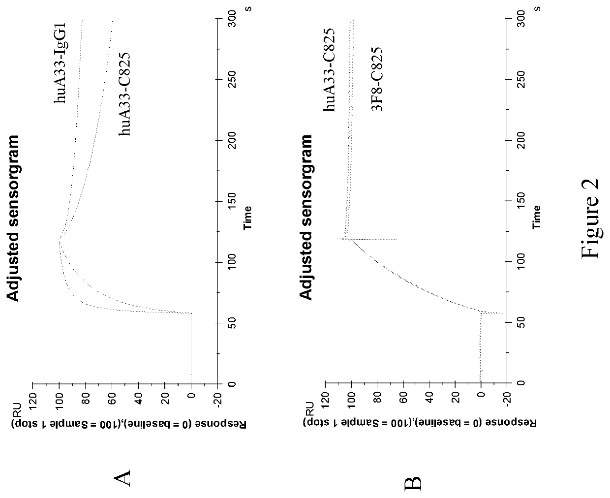 Multi-specific antibodies with affinity for human A33 antigen and DOTA metal complex and uses thereof