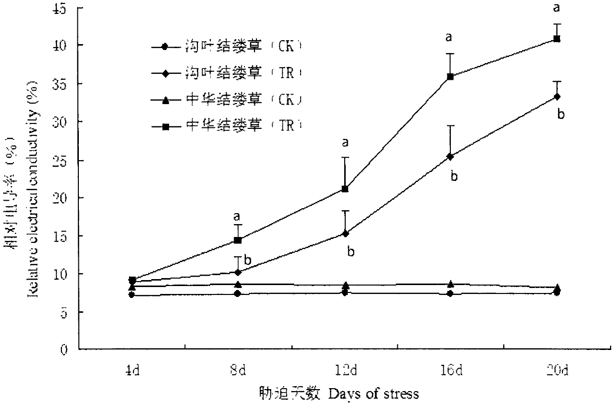 Application of rhamnolipid to alleviation of plant salt stress