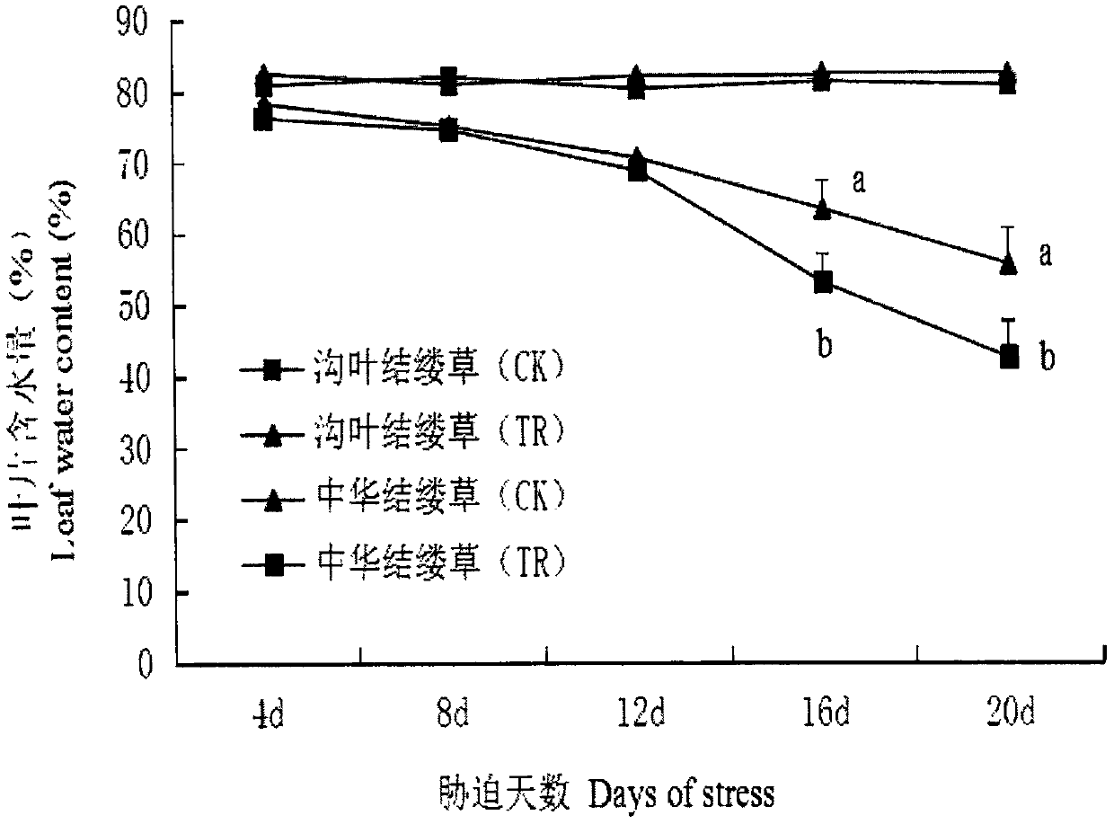 Application of rhamnolipid to alleviation of plant salt stress