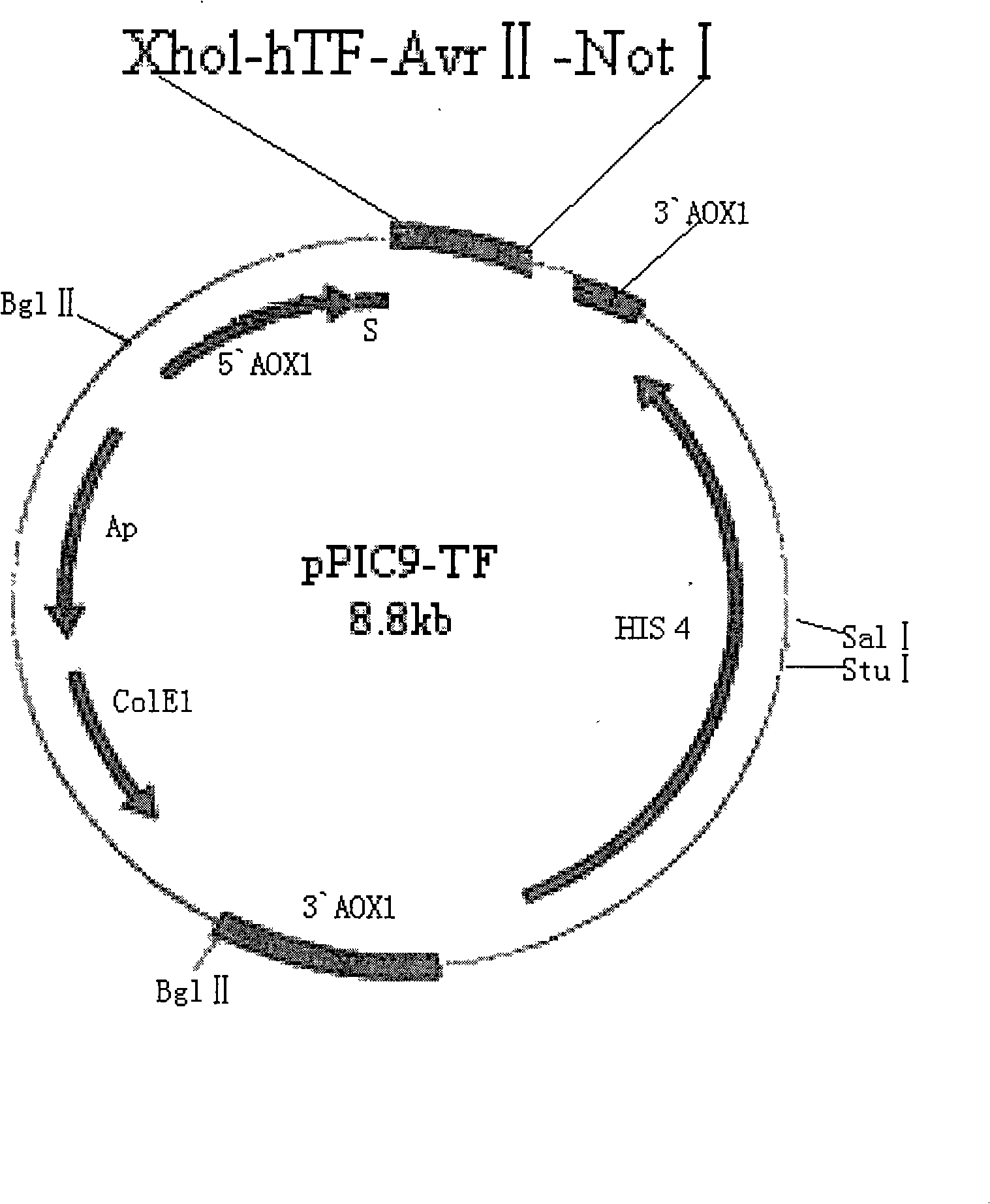 Method for preparing liquid type PT agent based on human recombinant thrombokinase