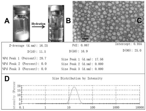 Method for cancer treatment based on combination of drugs