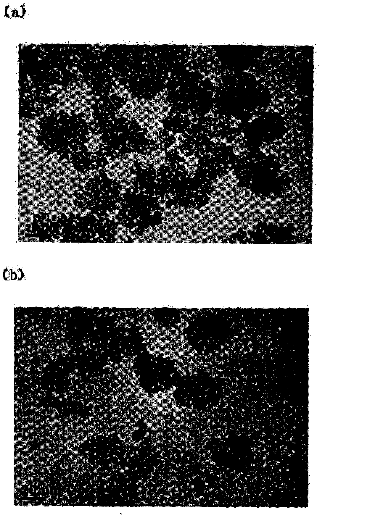 Apparatus and method for preparing titanium dioxide sol, and paste composition prepared using same