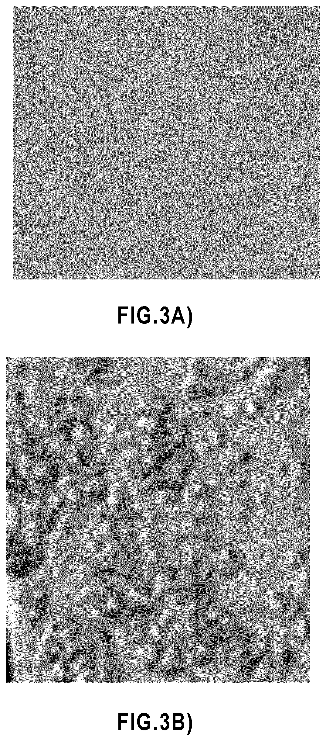 Multifunctional coatings for use in wet environments