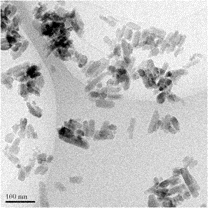 Preparation method of rare-earth-doped strontium fluorophosphate nanoparticles