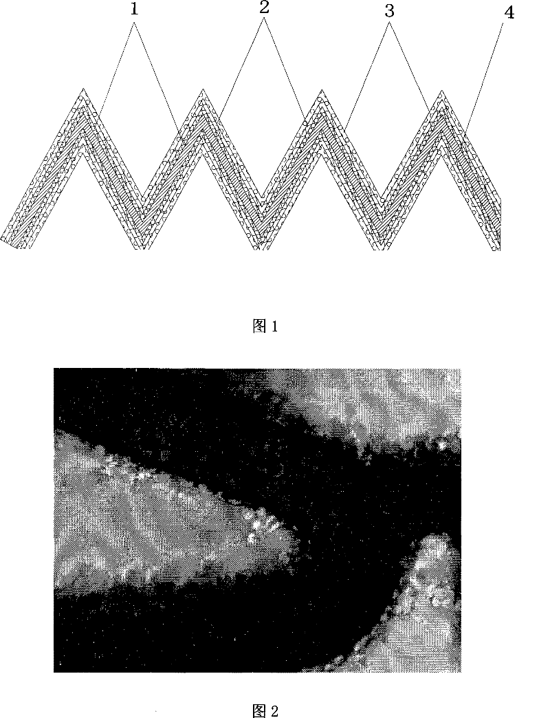 Transgenic cell overlapped vascular inner rack and manufacture method thereof