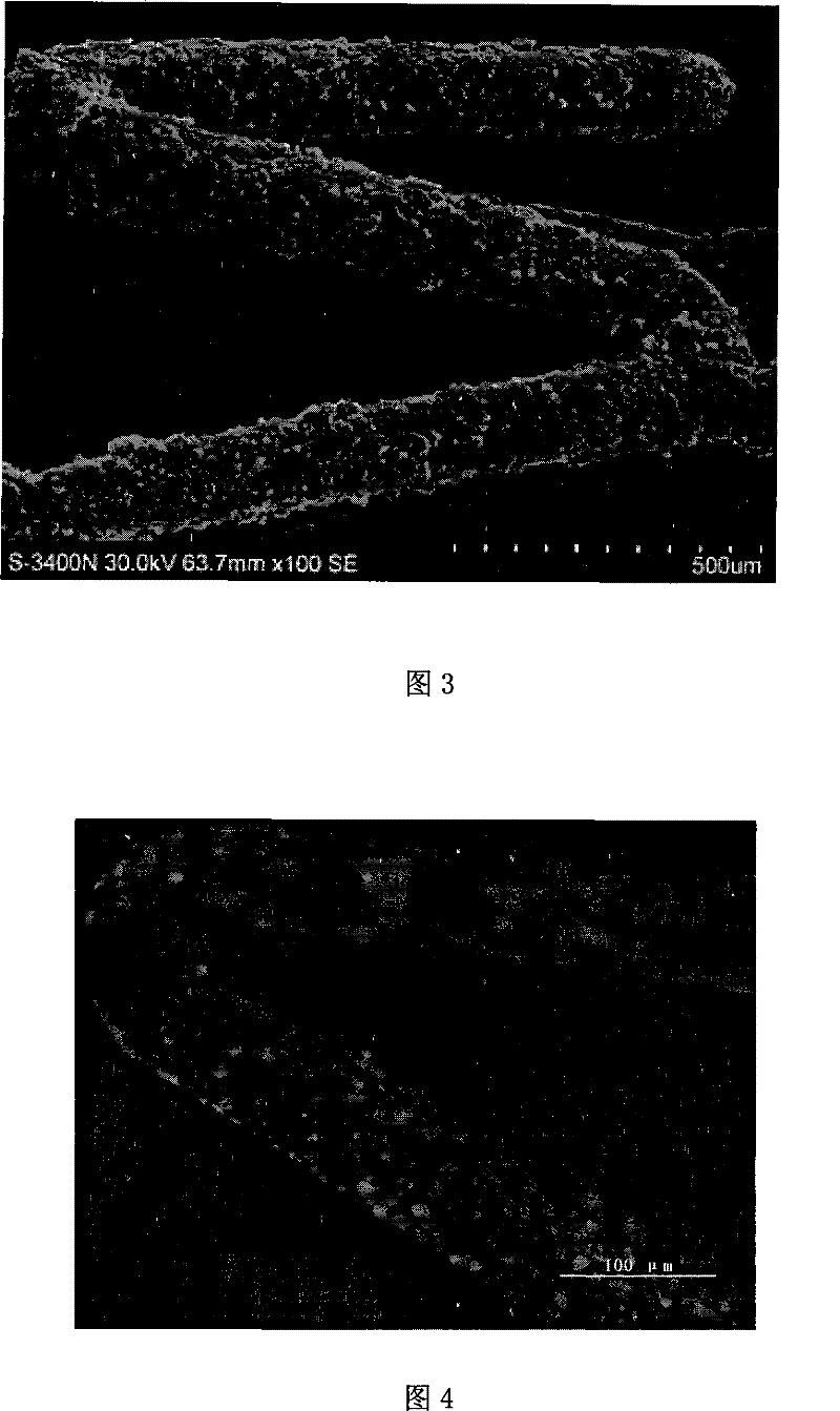 Transgenic cell overlapped vascular inner rack and manufacture method thereof