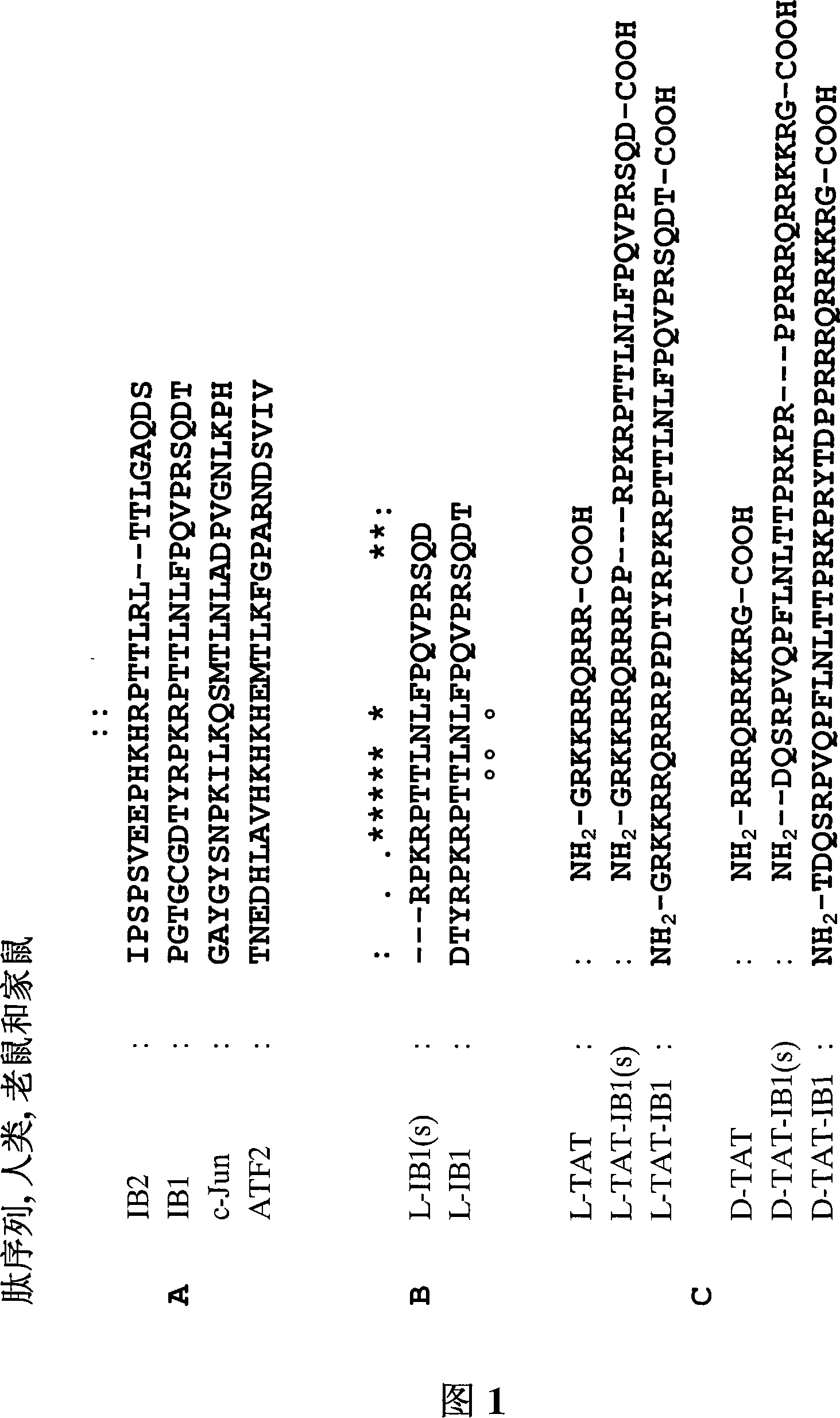 Cell-permeable peptide inhibitors of the JNK signal transduction pathway