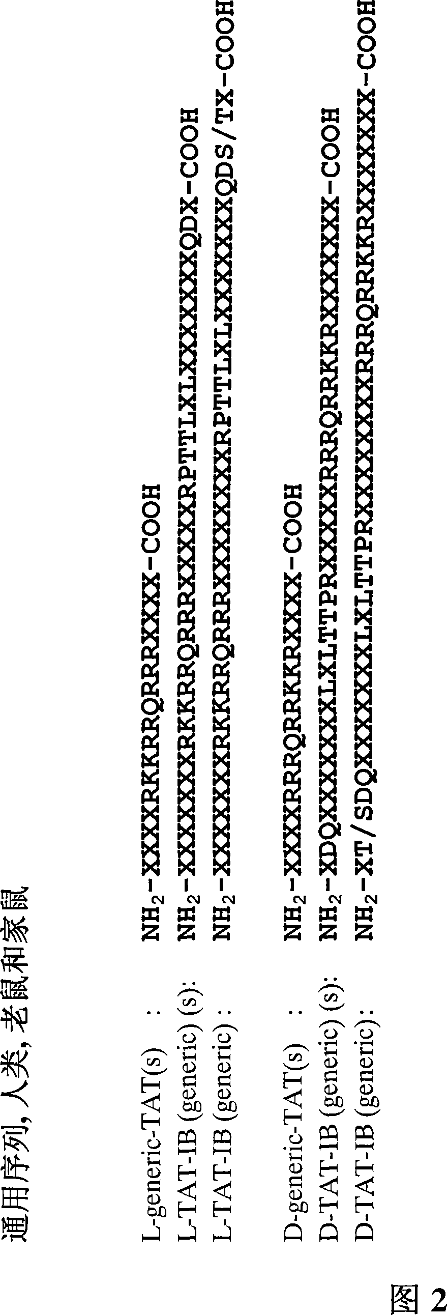 Cell-permeable peptide inhibitors of the JNK signal transduction pathway