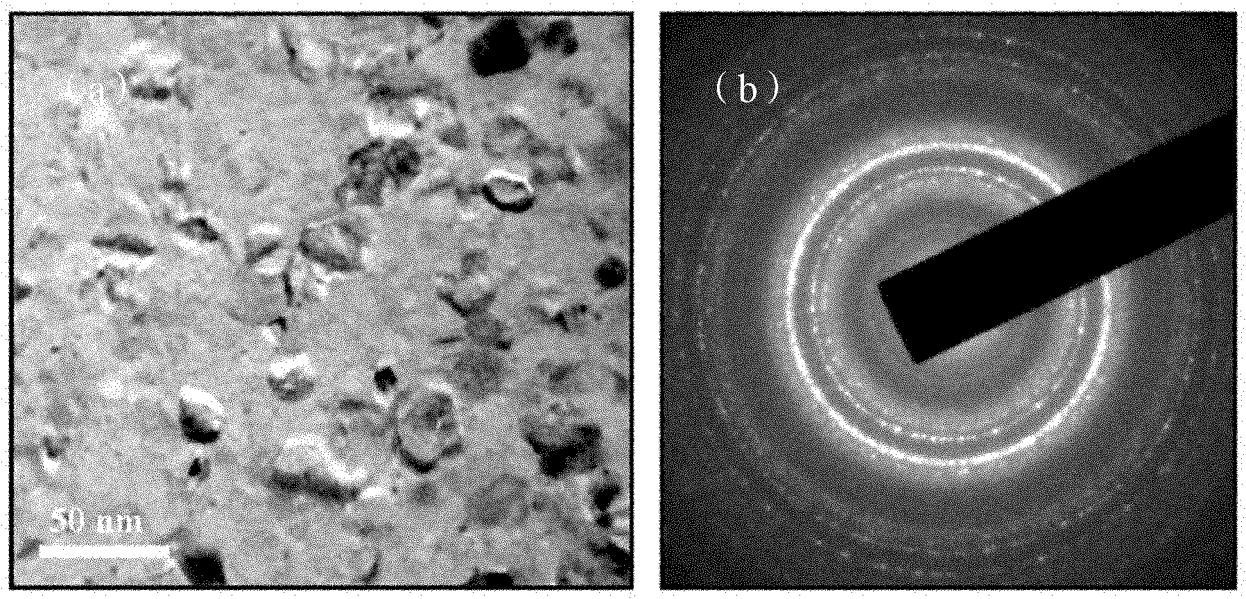 Preparation method of super high coercivity and low-Co type Sm-Co nanocrystalline alloy