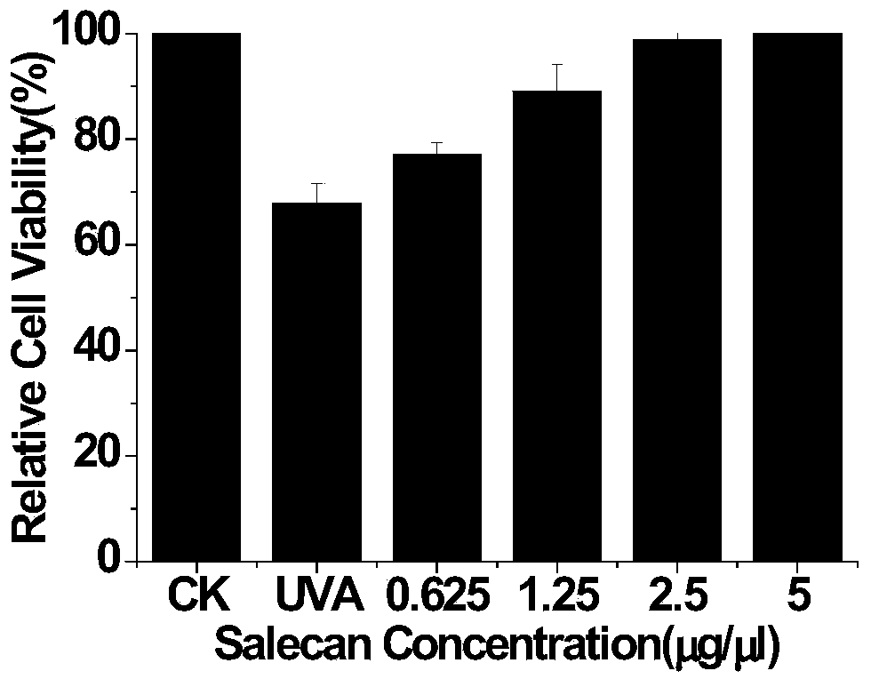 Application of soracan gum in inhibiting skin injury of ultraviolet ray