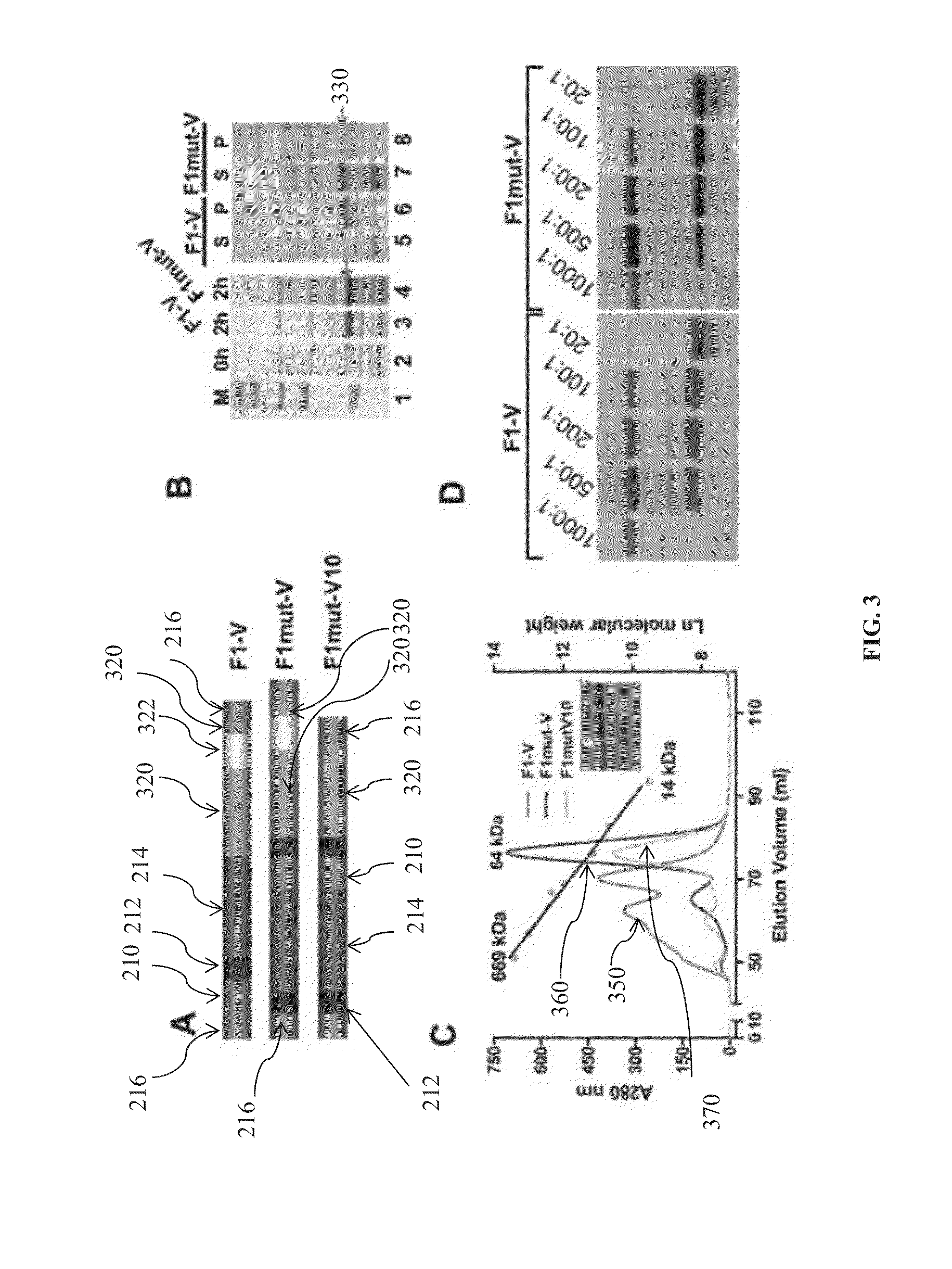 Mutated and bacteriophage t4 nanoparticle arrayed f1-v immunogens from yersinia pestis as next generation plague vaccines