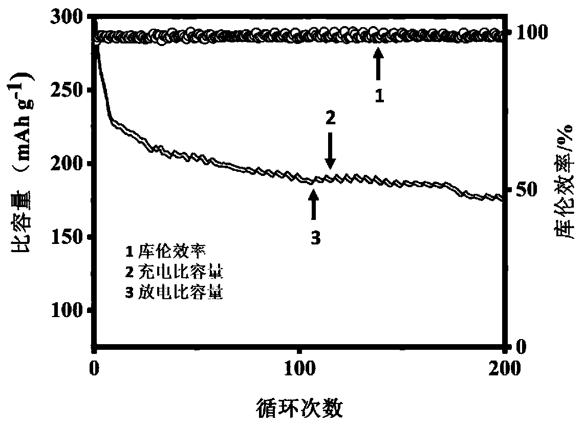 Elm-shaped molybdenum diselenide@nitrogen-doped carbon nanofiber and preparation method and application thereof