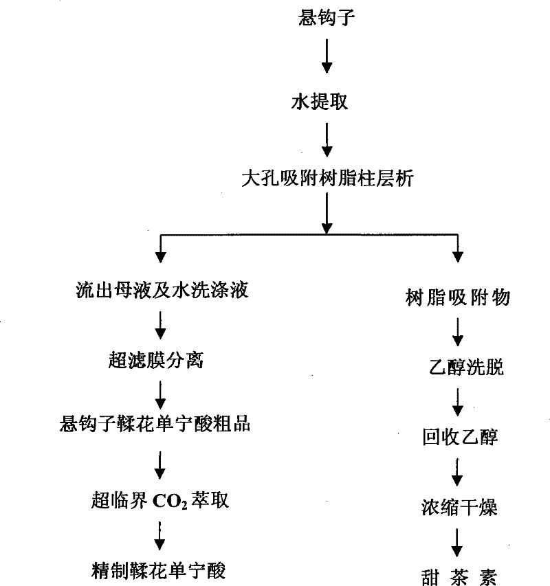 Method for separating and purifying ellagitannic acid in raspberry