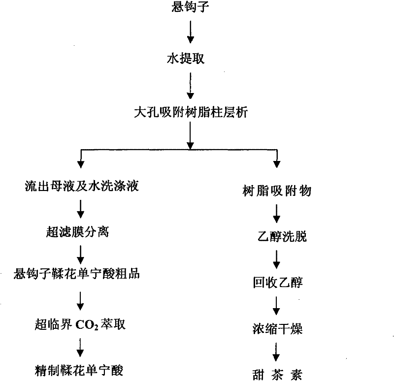 Method for separating and purifying ellagitannic acid in raspberry