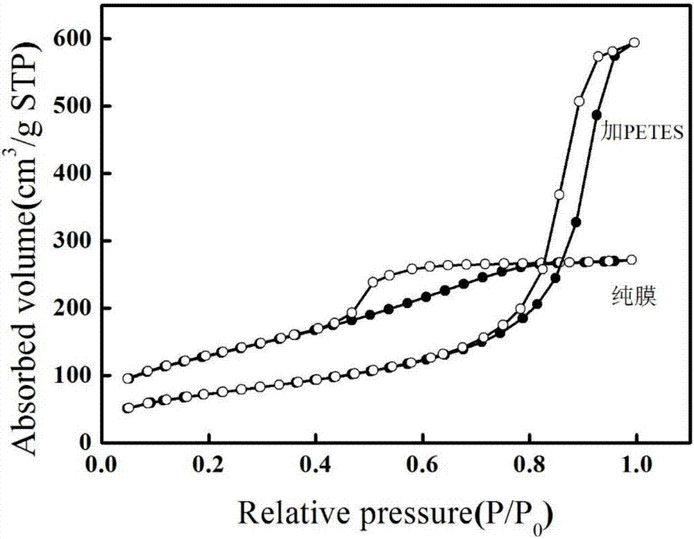 Mesoporous silicon film and one-step preparation method and application thereof