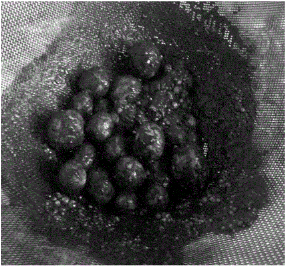 Separation and purification method for metallic sodium