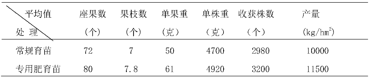 Special base fertilizer applicable to greenhouse tomato seedling culture