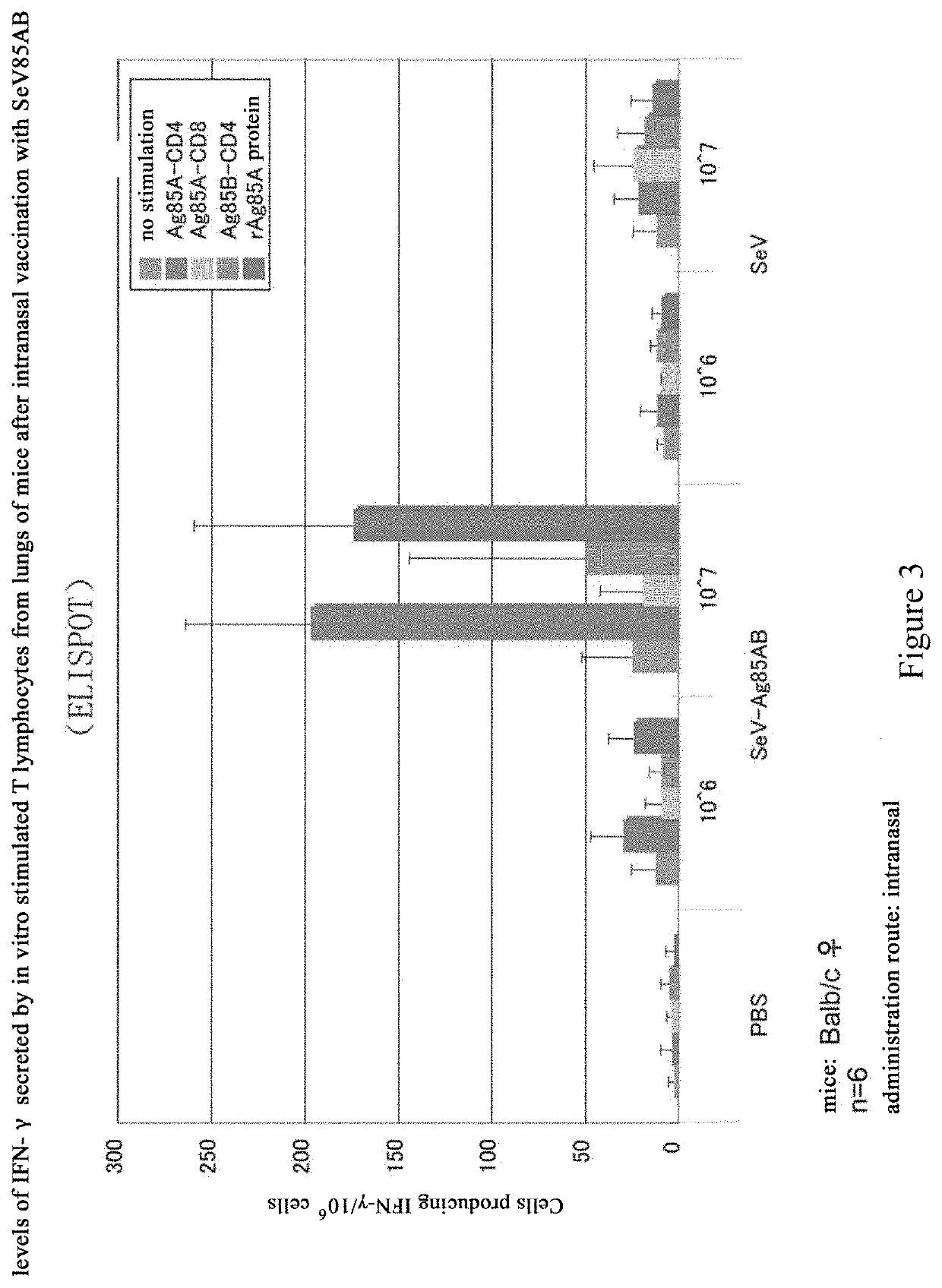 Anti-<i>Mycobacterium tuberculosis </i>vaccine using sendai virus as vector