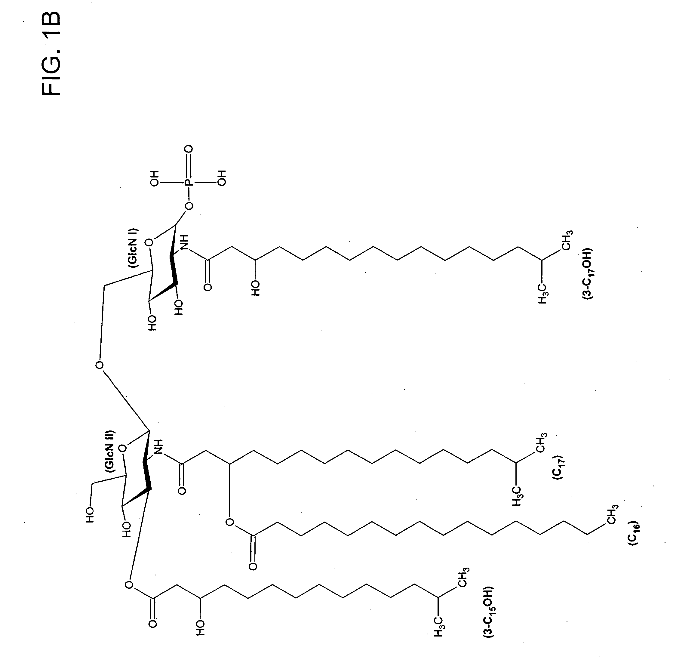 Porphyromonas gingivalis 1435/1449 LPS as an immune modulator