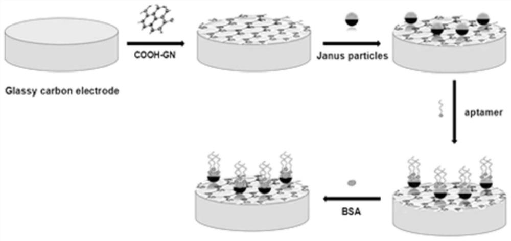 A kind of electrochemical immunosensor and its preparation method and application