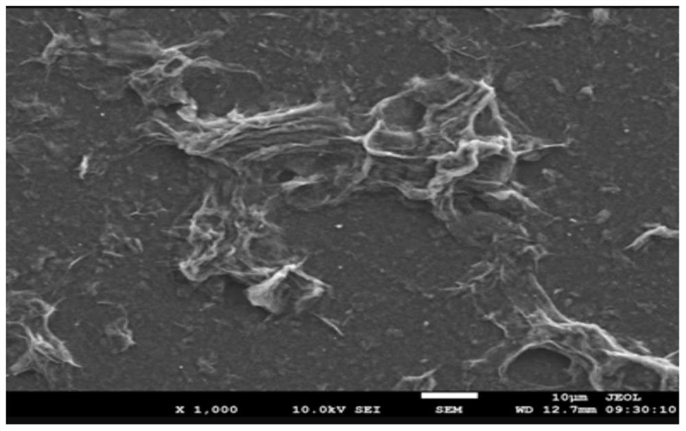 A kind of electrochemical immunosensor and its preparation method and application