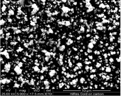 Electrocatalytic oxidation electrode for sewage treatment and preparation method thereof