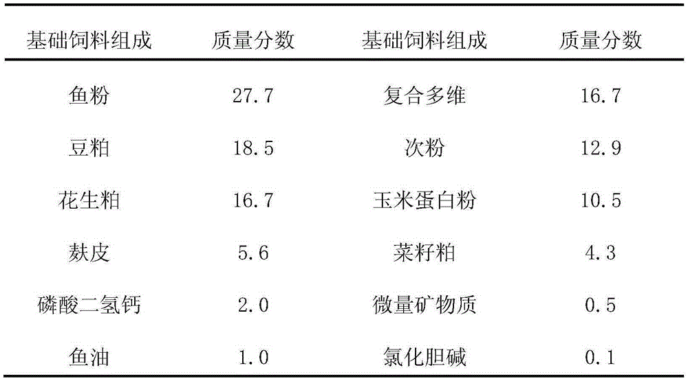 Compound Chinese herbal medicine for treating marine fish cryptocaryon irritans disease