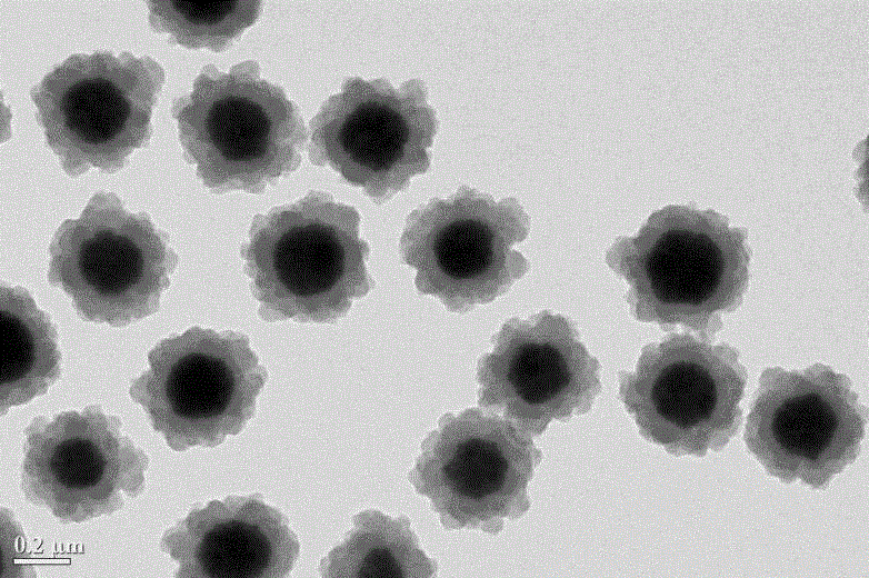 Preparation method and application of a core-shell magnetic composite microsphere rich in nickel ions on the surface