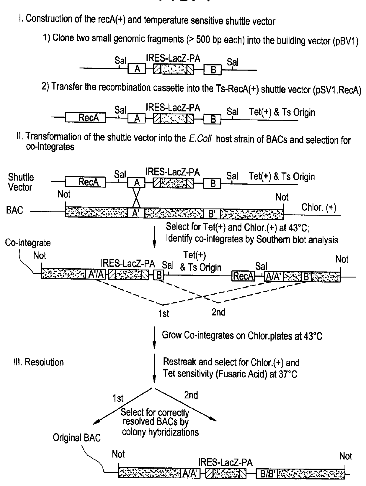 Methods of performing homologous recombination based modification of nucleic acids in recombination deficient cells and use of the modified nucleic acid products thereof